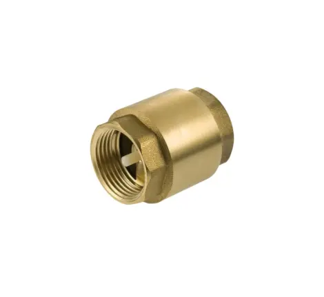 Check Valve 1 1/4" Single Universal