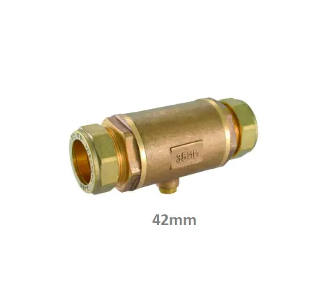 Check Valve 42 Double Check