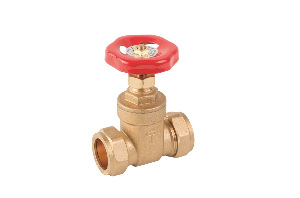 Gate Valve 22mm Comp