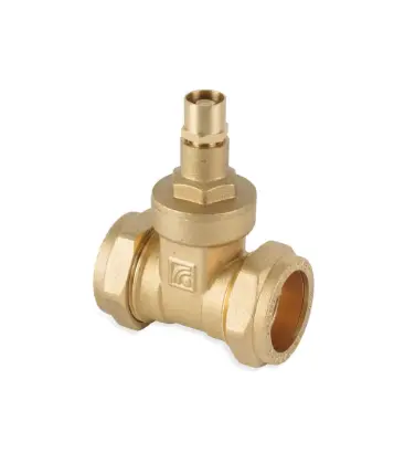 [11BG22LS] Gate Valve 22mm Comp LockS