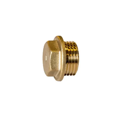 [11JB6EP] Brass Flanged Plug 1"