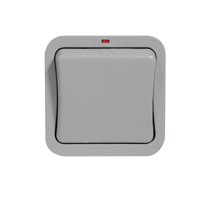 Switch 1g IP66 Bg Gy WP12