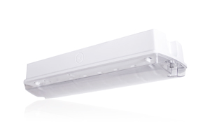 Emergency Light 3w Led 3hr Rect Bulkhead MUL0105