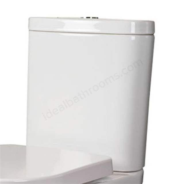 Tonique Toilet Cistern