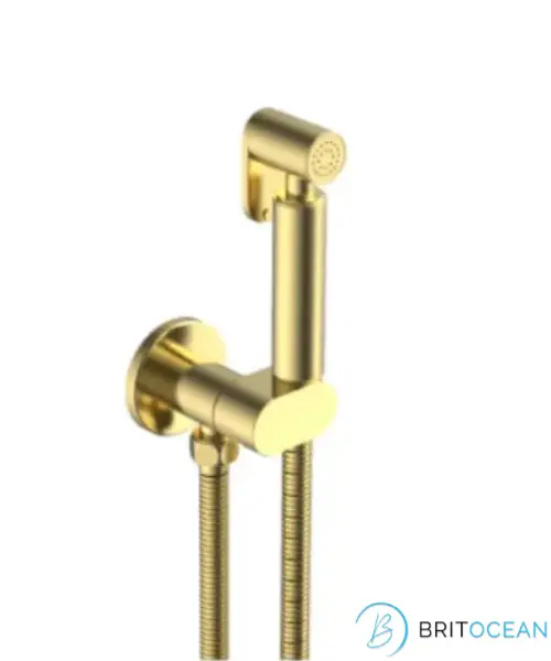 [424Bo.101SBBG] Douche Outlet+Shut off Kit Brushed Gold 