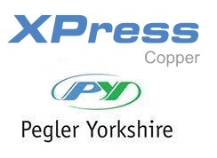 Brand: Xpress
