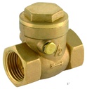 Check Valve 1" Swing Check Valve