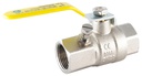 Gas Test Nipple 1" Lever Valve