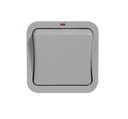 Switch 1g IP66 Bg Gy WP12