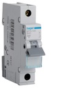 Hager MCB 40A B curve 6ka