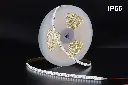 Led Strip 5500k 2m 10w ip65