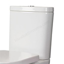 Tonique Toilet Cistern