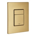 Toilet Push Button Brushed Brass