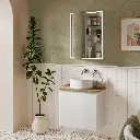 Vanquish50 53x73 Reces Cabinet