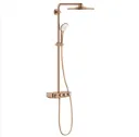 Shower System 310 expossed Bronze
