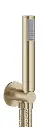 Mpro Walloutlet + Handset + Hose Brushed Brass⛌