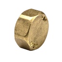 Brass Cap 2"