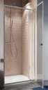 Clear6 Pivot Door 900 Silver (860-890mm)