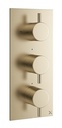 2Way 3Control Landscape Brushed Brass FINISH PART ONLY
