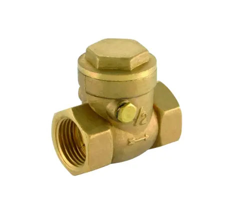 [11BC6W] Check Valve 1" Swing Check Valve