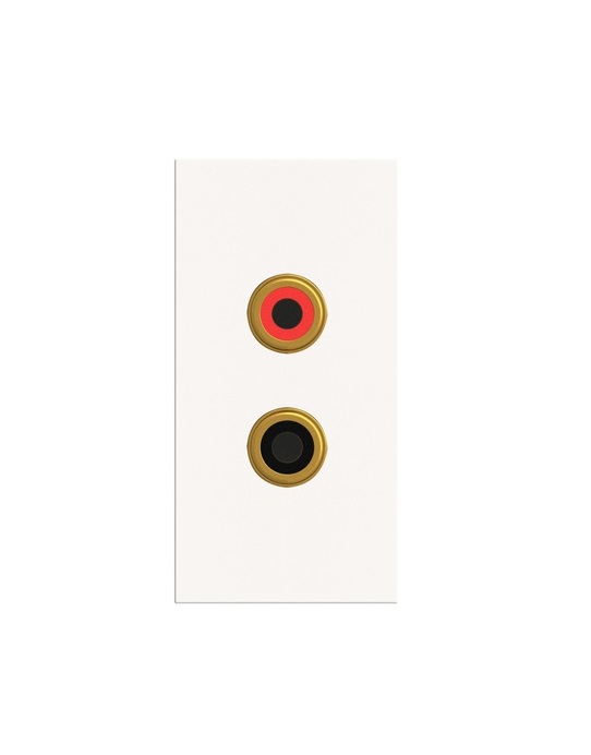 [25MMA.RCA2] Euro Module RCA Twin White (Special)
