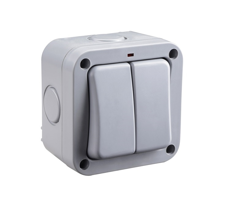 [25WP6.12W66] Switch 2g IP66 Bg Gy WP42-02
