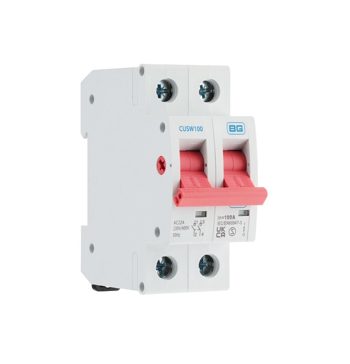 BG MainSw 100a DP▢cusw100