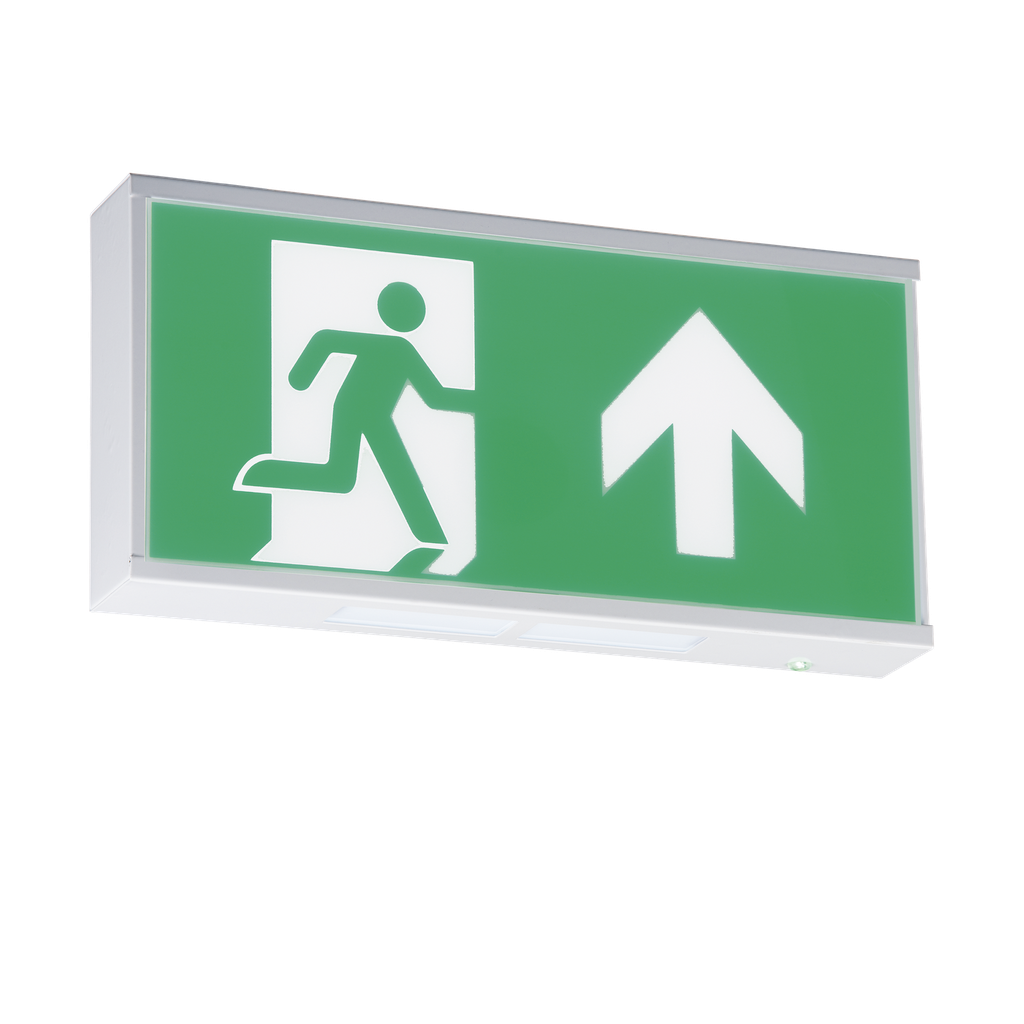 Emergency BoxL 6w Led 3hr M / NM UpArrw