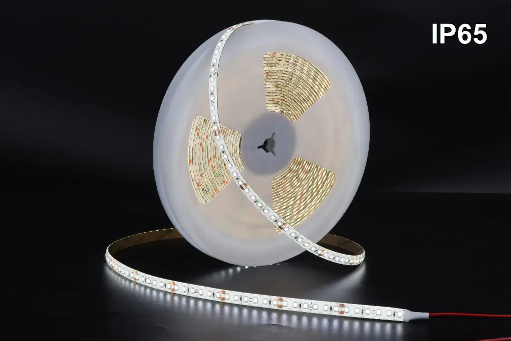 [29LS54ip65] Led Strip 5500k 4m 10w ip65