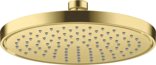 Rainhead Overhead shower 220 ◈BruBrass