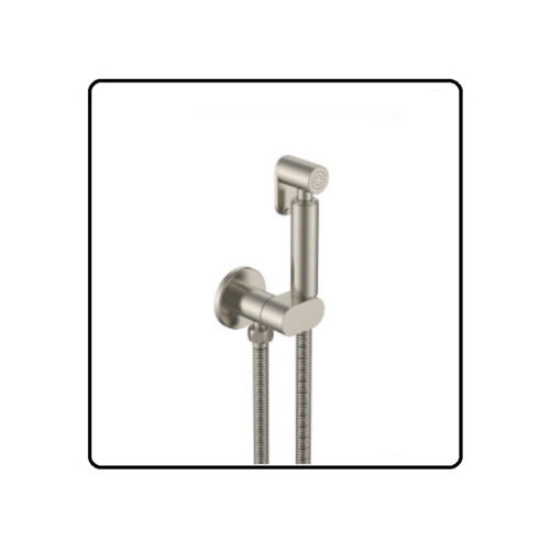 Douche Outlet+Shut off/Hose Attachment Kit Brushed Nickel