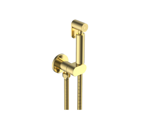 Douche Outlet+Shut off Kit Brushed Gold 