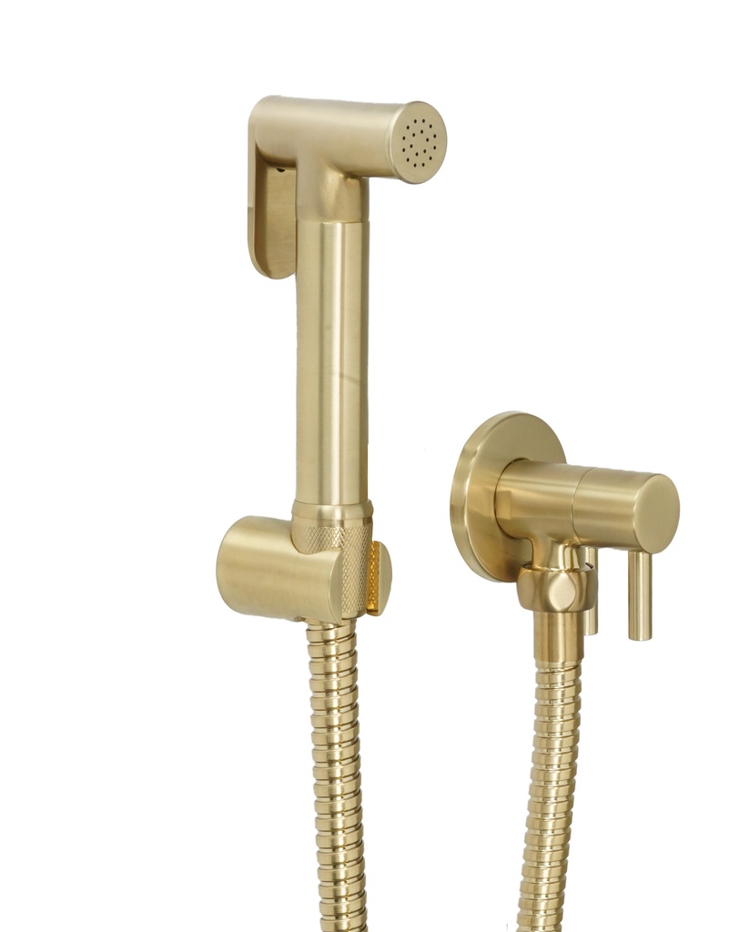 Douche Set With Angle Valve Brushed Brass