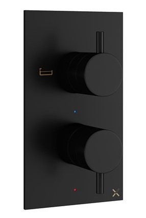 [425Cr.PRO1500LBPM] 2 Outlet 2 Handle Trimset Matt Black