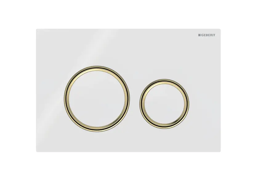 [459Gb.115652SI1] Sigma50 Round Flush Plate Wh/Brushed Brass/Wh