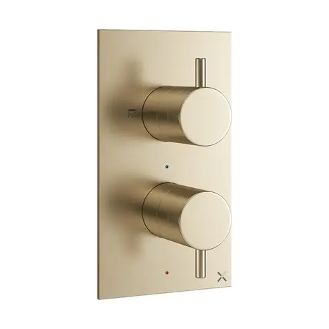 Mpro Trim 2Outlet Shower/Handset ◈BruBrass