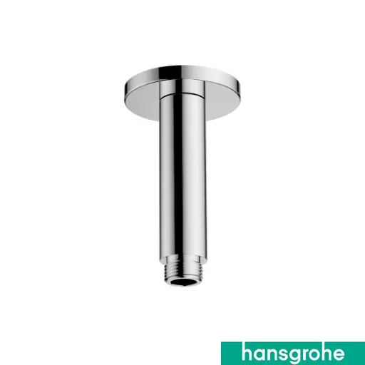 Shower Arm Ceiling 100 RD Plate Cp