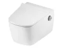 Teceneo Wall Hung Shower Toilet