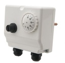HotWater Cylinder Stat Dual ESI ESCTD
