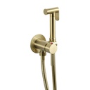 Douche Kit Shut+ Outlet Manual Brushed Brass