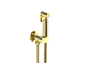 Douche Outlet+Shut off Kit Brushed Gold 