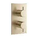 Mpro Trim 2Outlet Shower/Handset ◈BruBrass